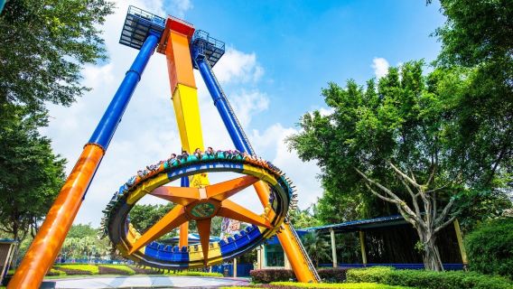 perjalanan satu hari Chimelong Paradise + Sirkus Internasional Chimelong [tur privat] Taman Hiburan/Tur Keluarga