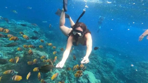 Penida Island Snorkeling one-day tour[Including Fairy Cliff + God Bath Pool|Hotel shuttle service]