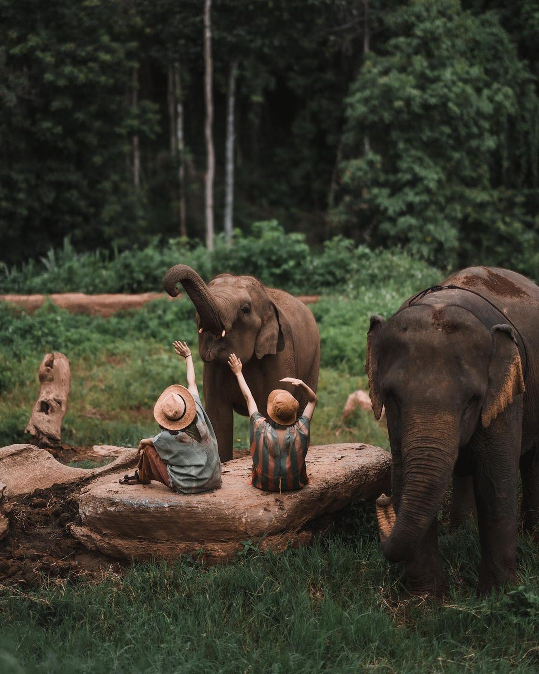 泰國清邁祕密大象營一日遊：搭配粘粘瀑布／竹筏漂流／夜間動物園