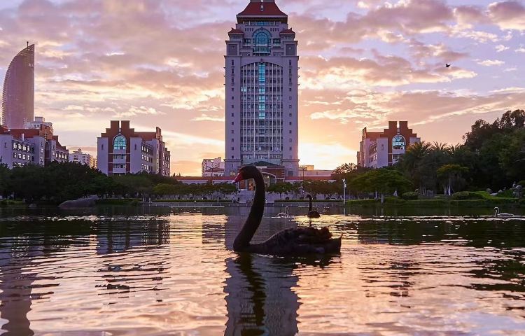 鐘鼓索道+園林植物園+廈門大學+南普陀一日遊【導遊講解純玩】