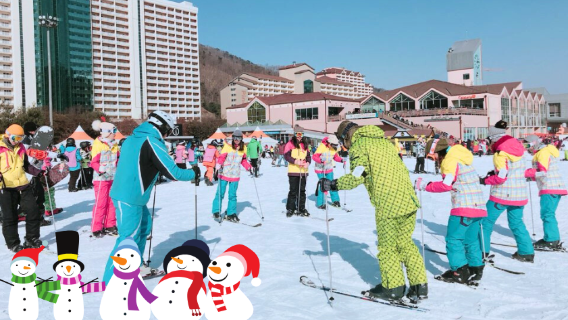 shuttle bus|Shuttle bus to and from Daemyung Vivaldi SONO Ski Resort in South Korea