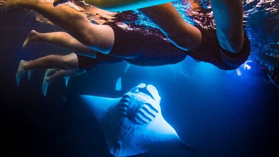 HonoluluExperiences