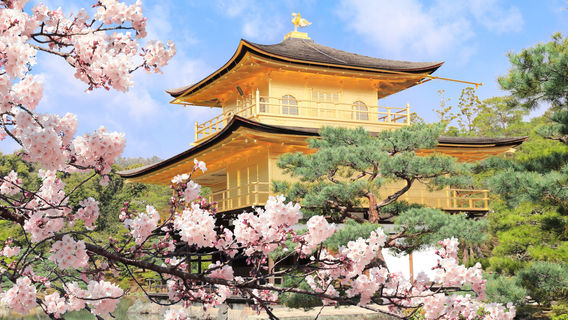 KyotoTours