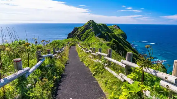 日本沖繩水族館+知念岬+古宇利島【港口&酒店接送/行程訂製】