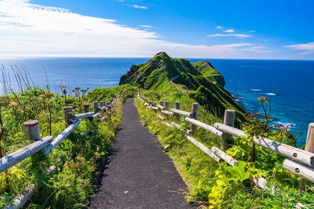 日本沖繩美麗海水族館+琉球村一日遊【中文服務/行程定制】