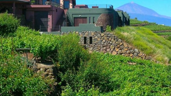 Bodegas Monje: Winery Visit & Wine Tasting