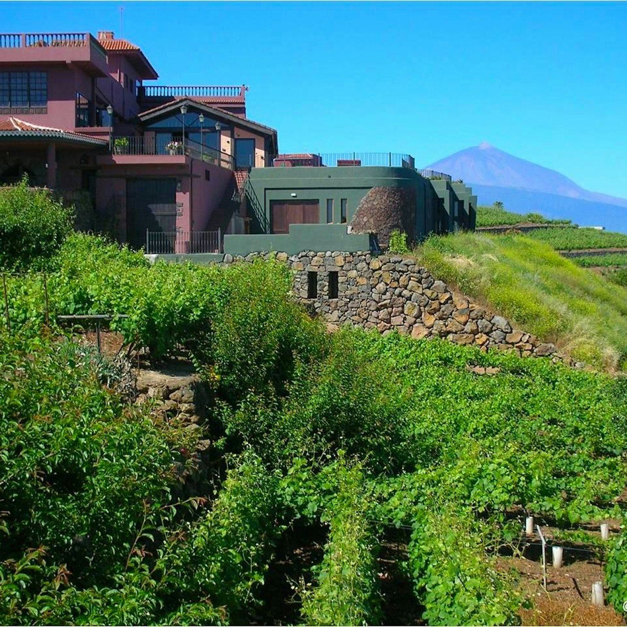 Bodegas Monje: Winery Visit & Wine Tasting