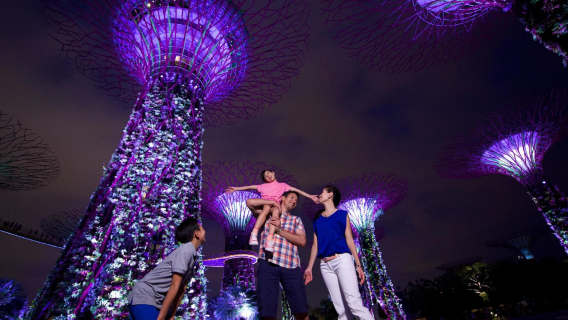 Singapore Twilights with River Cruise & Light Shows (Singapore Walking Tour)