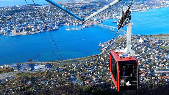 Tromsø Polar Museum + Polaria + Arctic Church + Tromsø cable car
