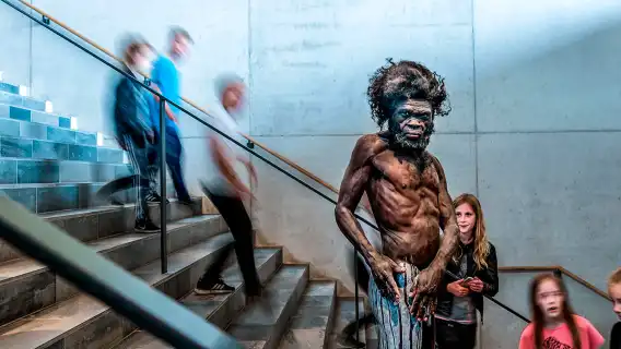 Denmark + Aarhus Art Museum + Aarhus Cathedral + Aarhus University + Viking Museum one-day tour
