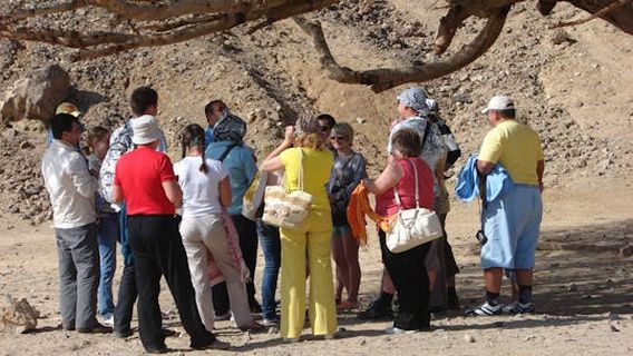 Marsa AlamExperiences