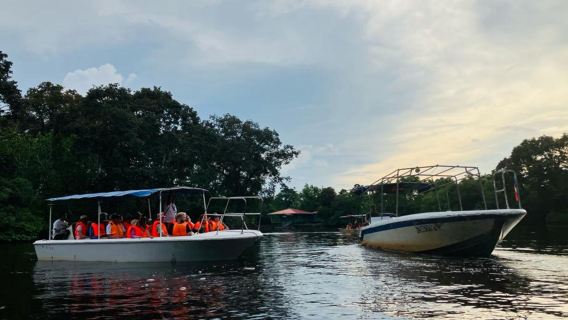 Sabah Klias River Cruise, Proboscis Monkey & Fireflies 1-Day Shared Tour