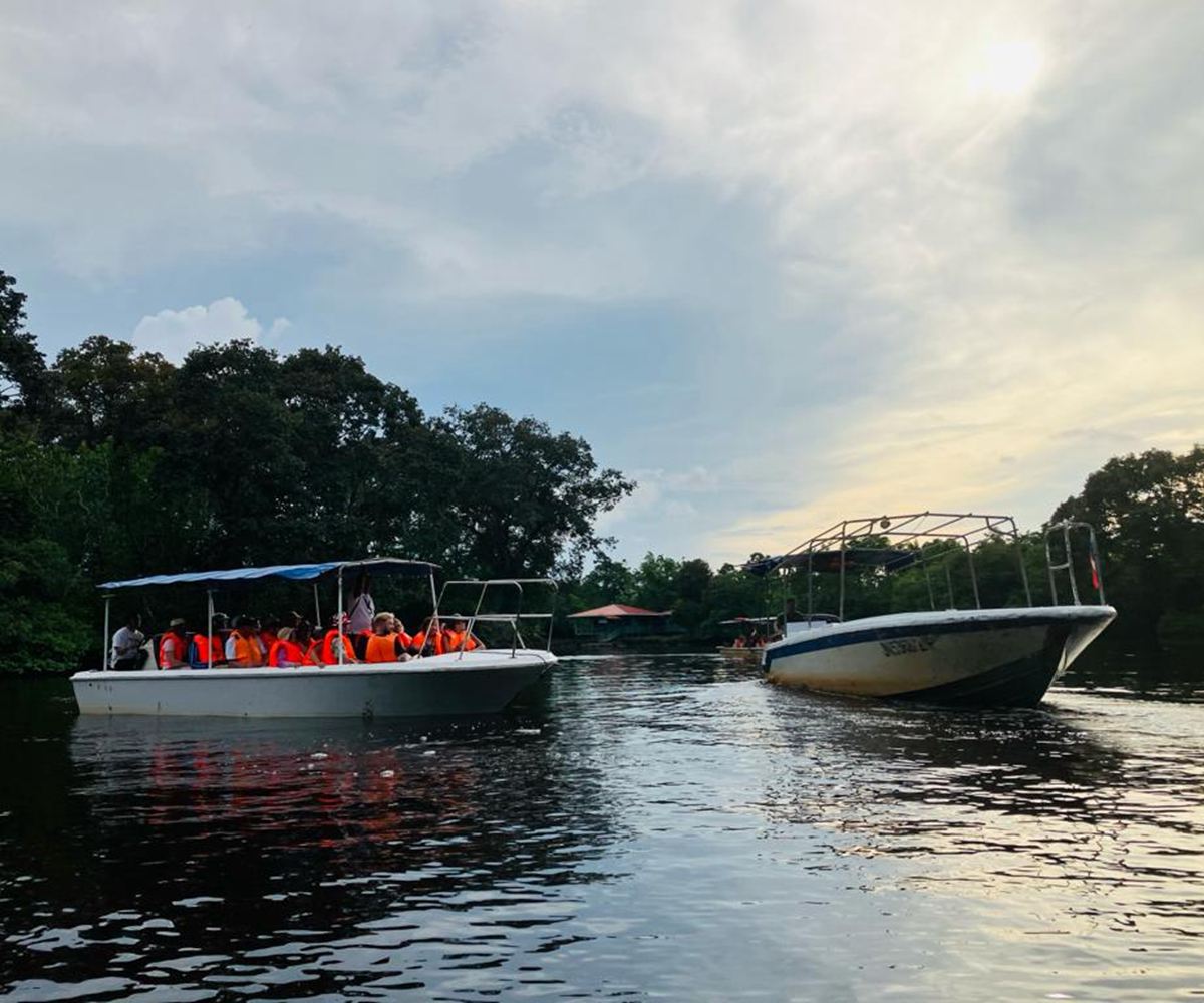 Sabah Klias River Cruise, Proboscis Monkey & Fireflies 1-Day Shared Tour