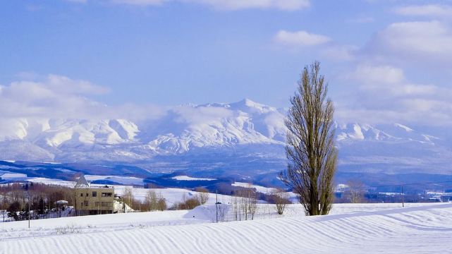 Asahikawa Zoo Day Tour