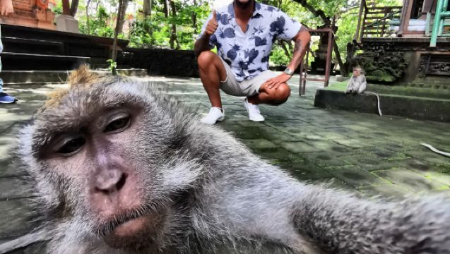 Ultimate Ubud Experience: Monkey Forest, Jungle Swing, Temple Blessing & Waterfall