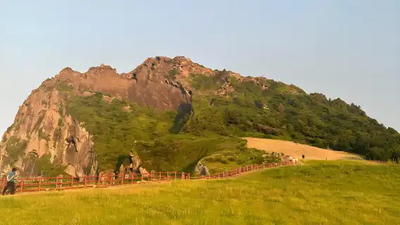 韓國濟州市牛島+涉地可支+城山日出峰+月汀里海邊一日遊