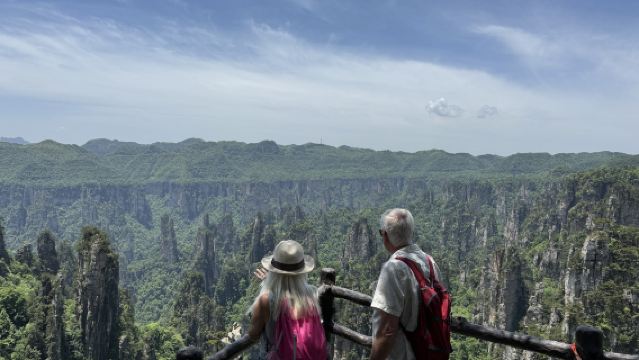 One day 8 person Small Group to Avatar mountain & Tianzi Mountain with all Vip Access