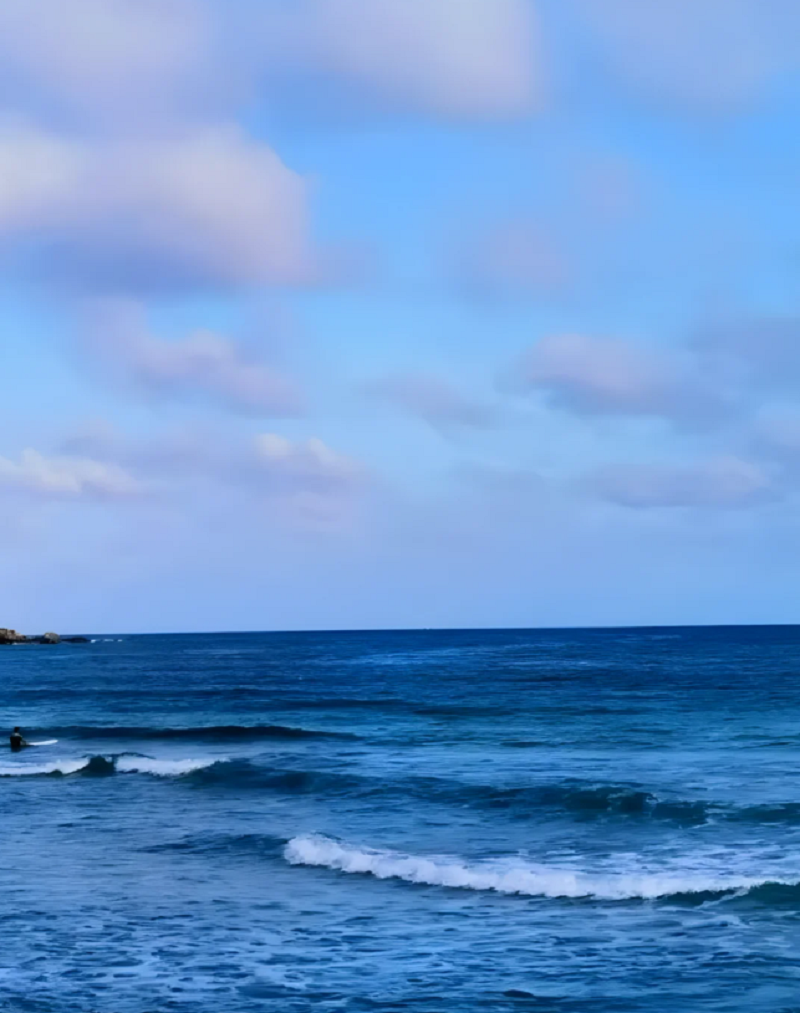 Wanning, Hainan - Professional travel companion, tour translation, foreign language guide, parents' tour, pick-up service included