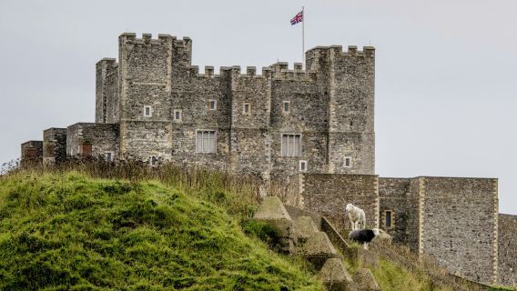 Dover Castle: Entry Ticket