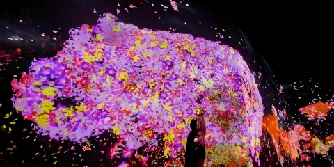 日本東京三麗鷗彩虹樂園+麻布台 teamLab 無界一日遊