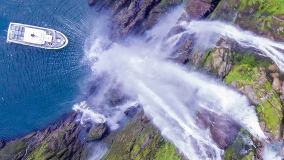 Te Anau round-trip Milford Sound / Piopiotahi 1-day tour with Mitre Peak cruise + lunch + transfers