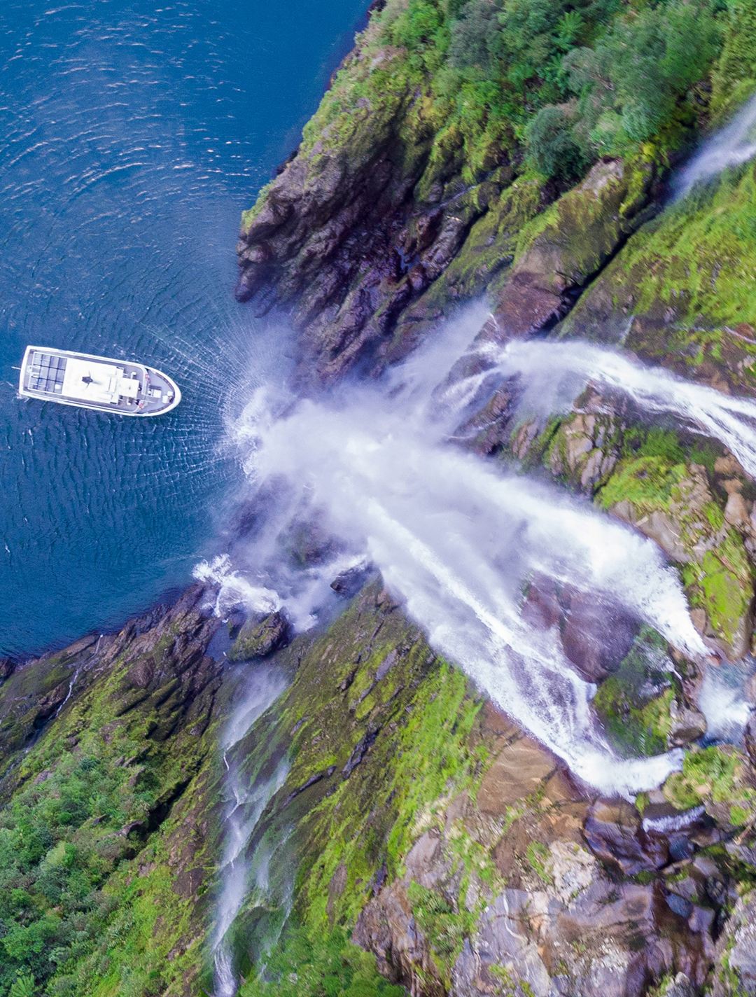 Te Anau round-trip Milford Sound / Piopiotahi 1-day tour with Mitre Peak cruise + lunch + transfers