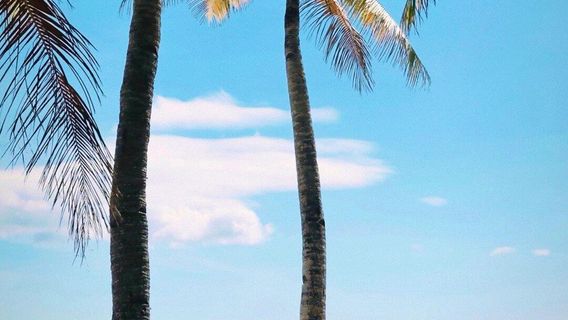Boracay IslandTours