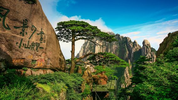 合肥旅行服務