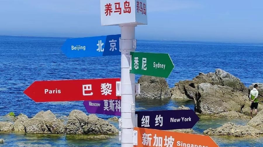 【8人小團】養馬島+漁人碼頭+ 煙台山+孤獨的鯨一日遊