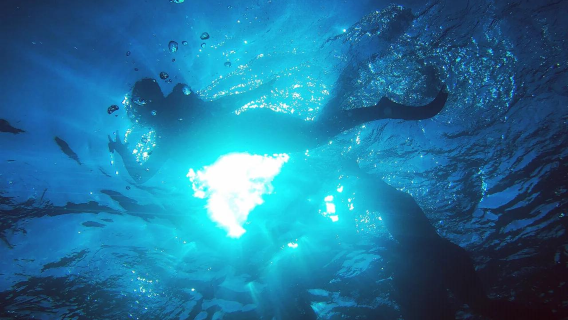 ดำน้ำตื้น Bunaken ประเทศมาเลเซีย (รวมบริการไปรับที่โรงแรม + อาหารกลางวัน ภาษาอังกฤษ)