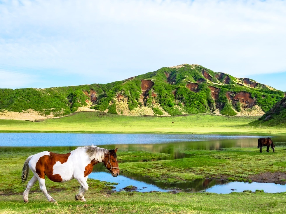 熊本/福岡発、九州熊本城＋草千里＋阿蘇火山＋あそぼーい！ | Trip.com