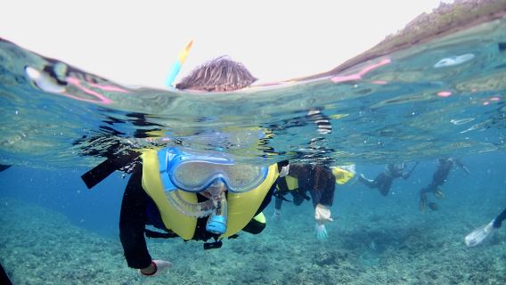 [Окинава] EGG Diving | Морской отдых с дайвингом и фотосъемкой!