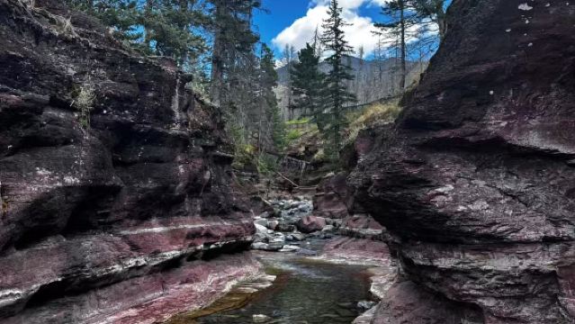 加拿大-卡爾加里-沃特頓國家公園自然、歷史和奇觀之旅