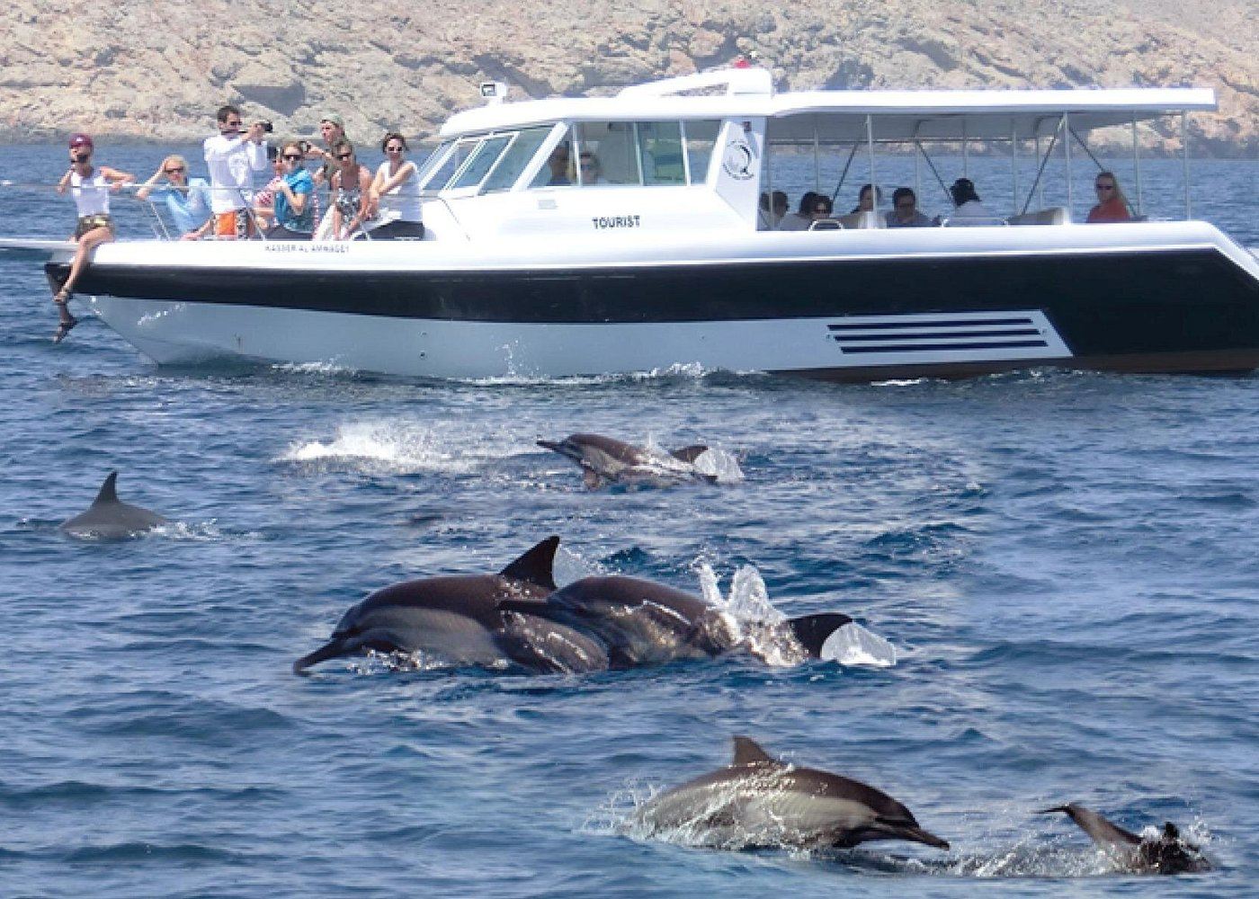 Oman Muscat Dolphin Watching Tour (Includes Snorkeling/Group Tour/Individual Booking Available)