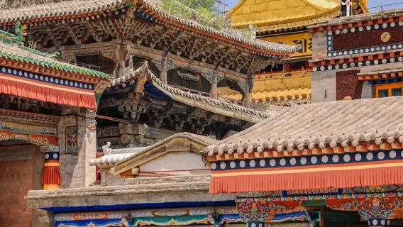 ○ Qinghai Lake + Ta'er Temple 1-Day private group tour Tour - Explore the Natural Scenery and Tibetan Culture