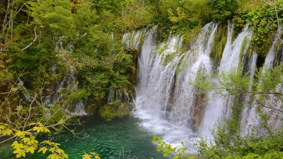Private transfer day tour to Plitvice Lakes National Park in Croatia