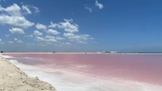 Tur Danau Merah Muda Merida, Meksiko (Termasuk Makan Siang/Tur Grup/Pesan untuk 1 Orang)