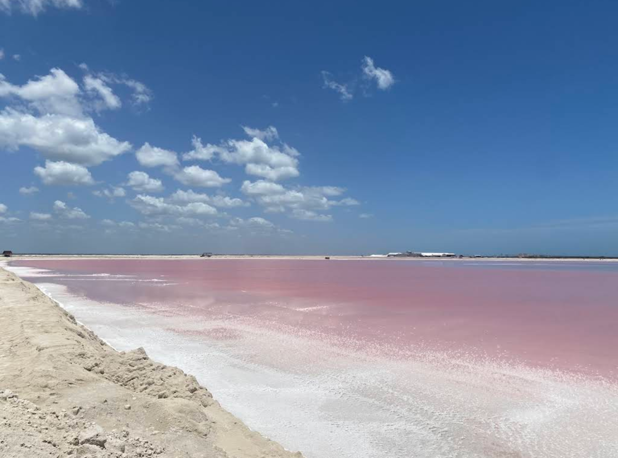 Merida The Coloradas Tour (Includes Lunch/Group Tour/Bookable for 1 Person)