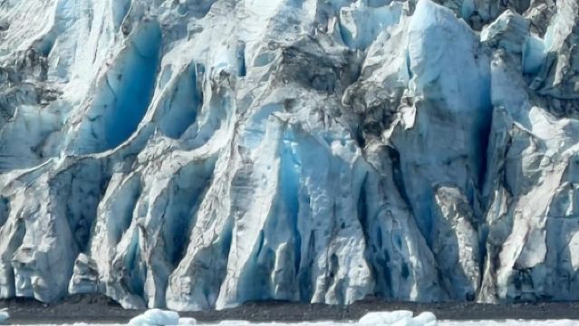 앵커리지: 빙하 및 야생동물 발견 투어 (7시간)
