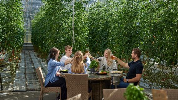 Bulatan Emas, Lagun Rahsia & Ladang Tomato Friðheimar