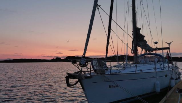 Harstad: Fjordcruise sailing with skipper