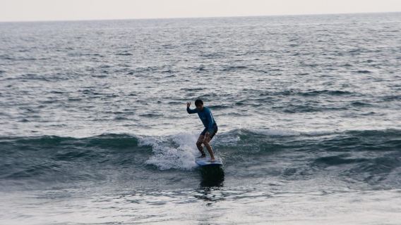 캉구의 초급 서핑 강습
