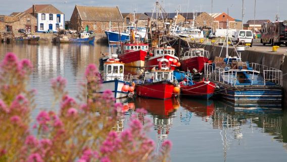 Halbtägige geführte Wanderung von Dublin nach Howth mit dem Auto oder der Fähre