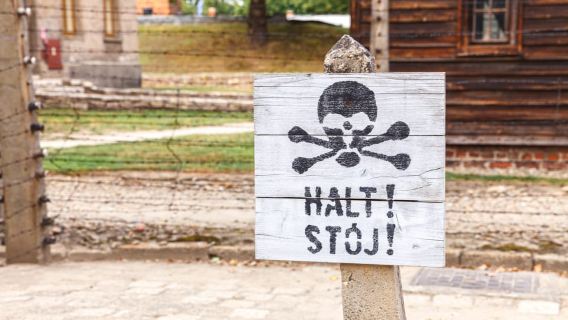 From Krakow: Auschwitz Birkenau Tour with Transfer