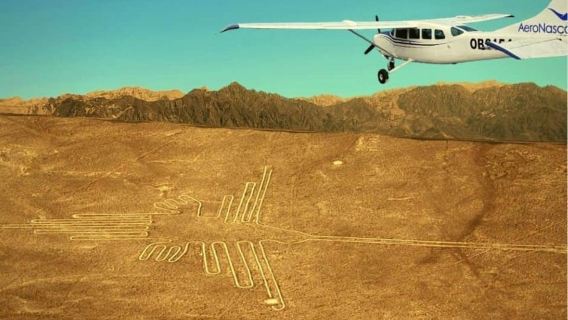 Lima: Flight over the Nazca Lines with bus transfer