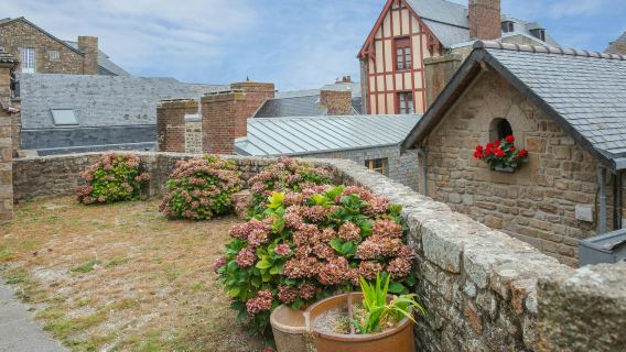 Mont Saint-Michel: Entry Ticket and Guided Tour + Transport from Paris