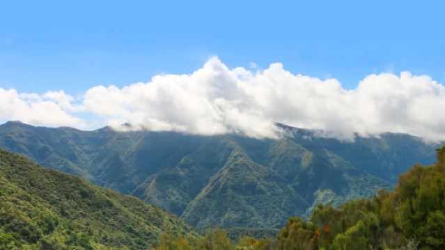 Madère : Promenade guidée sur les plages de Fanal et Seixal