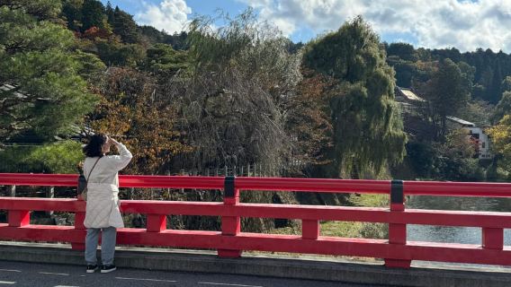 Takayama: tour guidato privato di un giorno intero nei 6 principali luoghi del GYG