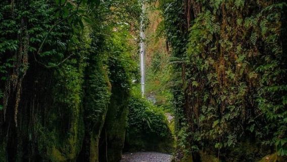 Arusha: Excursión de un día a las cascadas de Napuru con caminata guiada