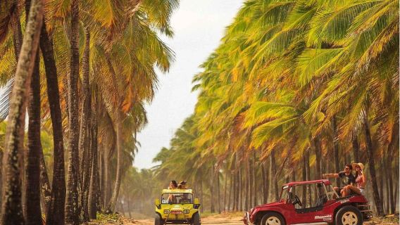 Buggy Adventure in Porto de Galinhas - Explore Paradise Beaches!